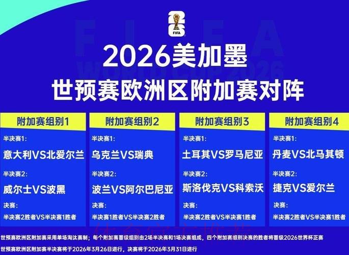 2026年国际足联世界杯赛事盛况解析 2026年国际足联世界杯赛事盛况解析